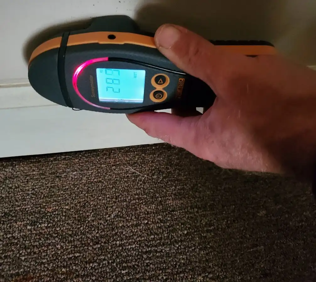 Moisture detection at baseboard during Sewage Cleanup & Sanitation in Southport